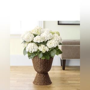 NWT My Texas House 14.4 x 17. 7 H Woven Resin Planter Container